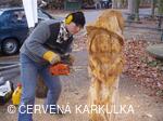 Vánoce v Perníkové chaloupce 2009 - setkání řezbářů